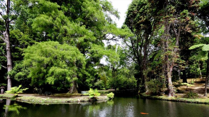 Furnas & Terra Nostra Botanic Park Guided Tour W/ Hotsprings - Dietary Restrictions