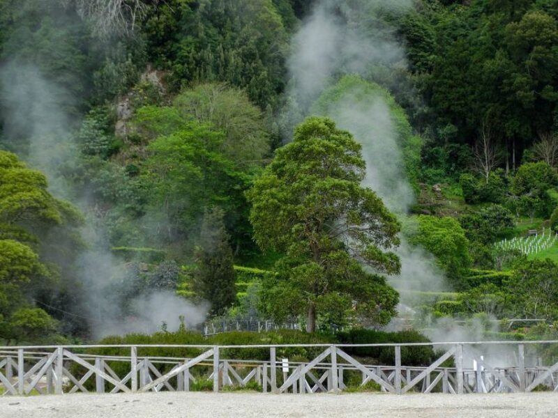 Furnas: Thermal Springs & Tea Plantation Day Tour With Lunch - Terra Nostra Park