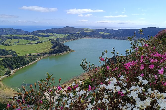 Furnas Vale, Gorreana Tea Factory Private Van Tour - Quick Points