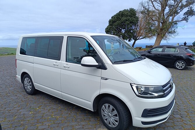 Furnas Vale, Gorreana Tea Factory Private Van Tour - Flexible Itinerary and Knowledgeable Guides