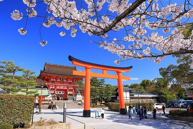 Fushimi Cherry Blossom and Sake Brewery Tour - Transportation and Accessibility