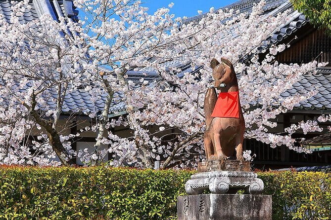 Fushimi Cherry Blossom and Sake Brewery Tour - Tour Guide and Participation