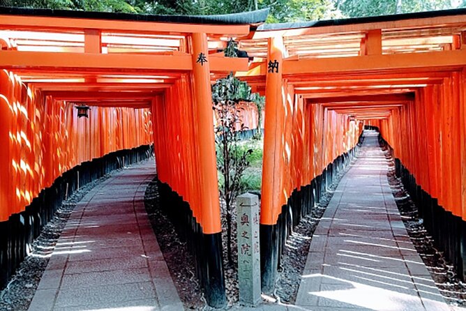 Fushimi Inari Deep Shinto Shrine Tour While Hiking With Expert - Accessibility and Mobility Requirements
