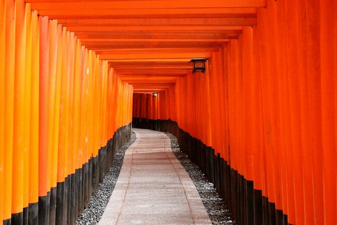Fushimi Inari Deep Shinto Shrine Tour While Hiking With Expert - Suitability for Certain Travelers