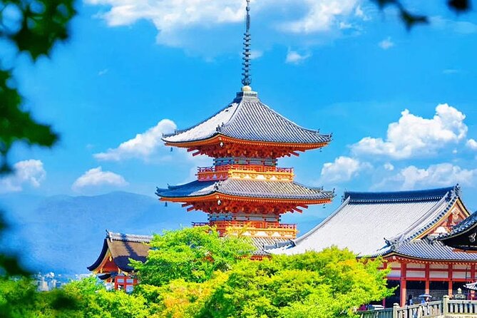 Fushimi Inari Shrine and Nara Park Day Tour From Osaka and Kyoto - Meeting and Pickup Information