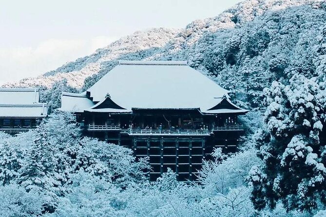 Fushimi Inari Shrine and Nara Park Day Tour From Osaka and Kyoto - Tour Conditions and Adjustments