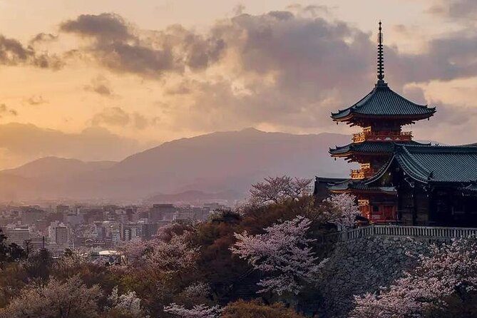 Fushimi Inari Shrine and Nara Park Day Tour From Osaka and Kyoto - Discovering Nara Park