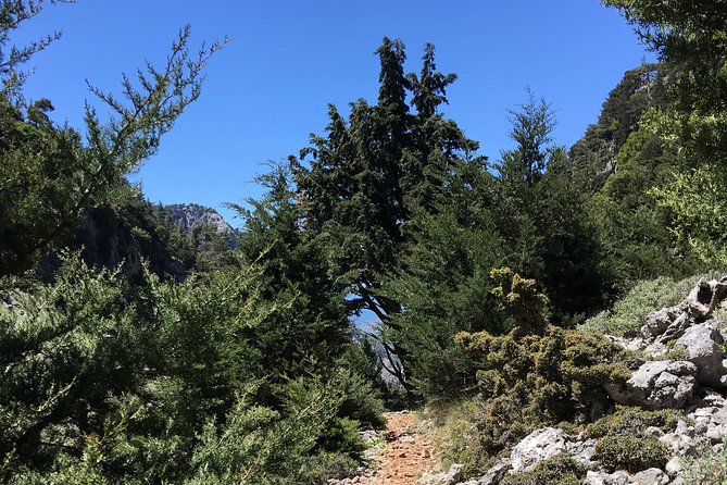Fygou and Agia Irini Gorge Loop Half Day Hiking Tour - Booking Information