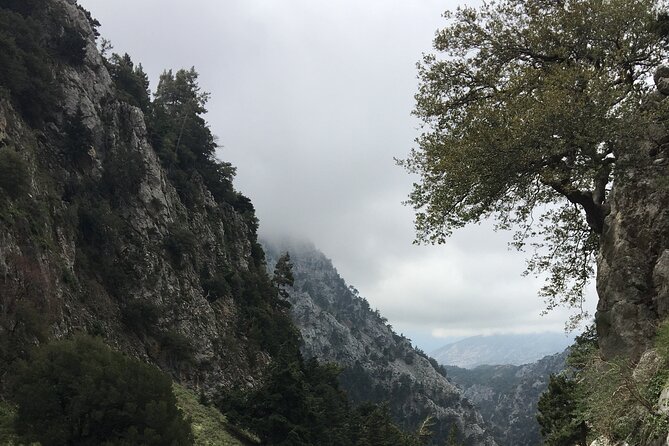 Fygou and Agia Irini Gorge Loop Half Day Hiking Tour - Highlights of the Hike