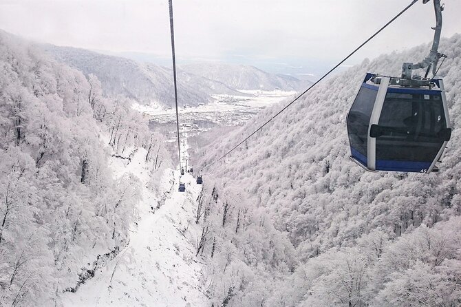 Gabala + Lahij + Shamakhi Tour With Lunch (By TES Tour) - Included Services