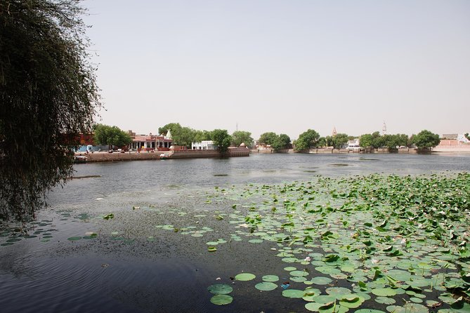 Gajner Palace Lake Side Stay With Village Experience - Suitability and Accessibility