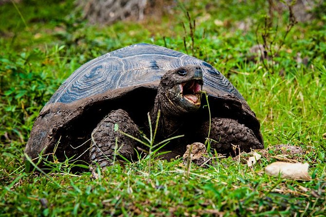 Galapagos By Land And Sea 4d-3n - Transportation Details