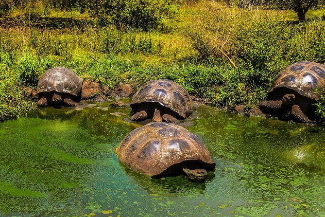 Galapagos By Land And Sea 4d-3n - Booking and Cancellation