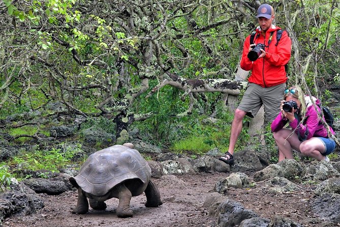 Galapagos - Exploring San Cristobal Island 4 Days - Key Points