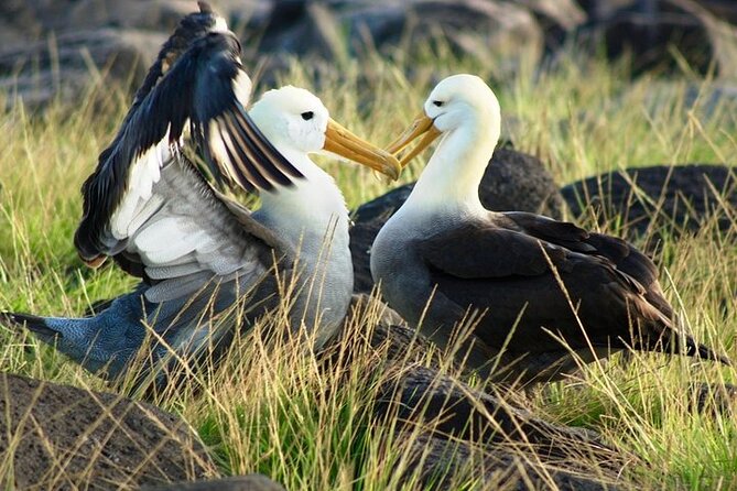 Galapagos - Exploring San Cristobal Island 4 Days - Highlights of the Tour