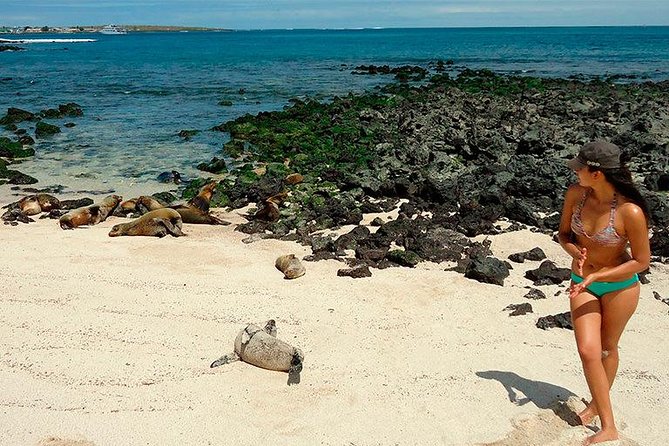 Galapagos - Exploring San Cristobal Island 4 Days - Booking and Cancellation