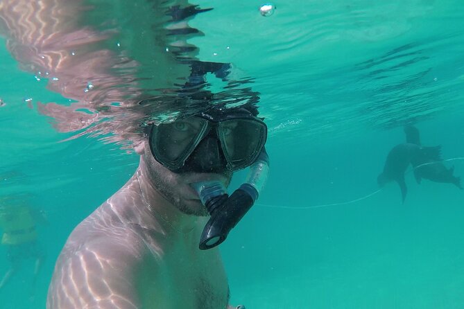 Galapagos Hoping Islands: 7 Days, Experience 4 Islands - Key Points