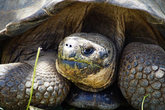 Galapagos Hoping Islands: 7 Days, Experience 4 Islands - Included Experiences