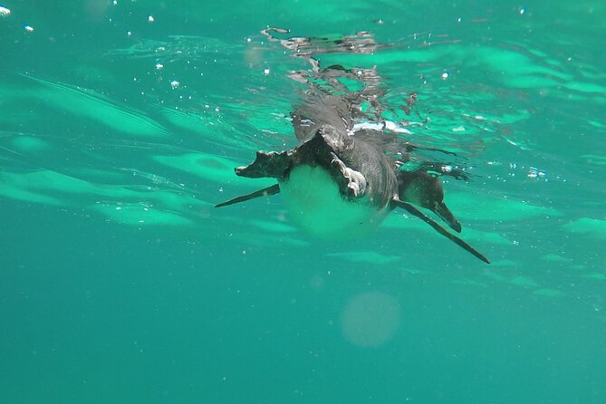Galapagos Hoping Islands: 7 Days, Experience 4 Islands - Accommodation and Meals