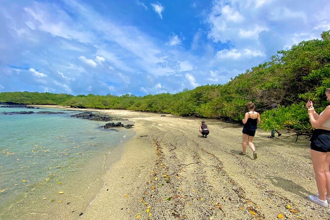 Galapagos Hoping Islands: 7 Days, Experience 4 Islands - Traveler Restrictions