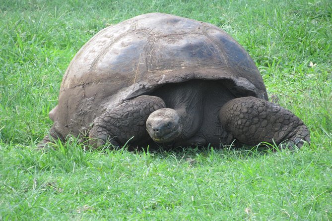 GALAPAGOS IDEAL (3Days) - Key Points
