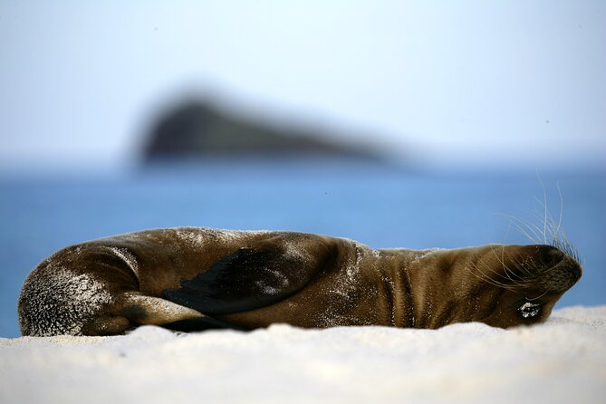 Galapagos Intensive 5 Days, Land Base (3islands) Excludes Galapagos Flight - Dining Experiences