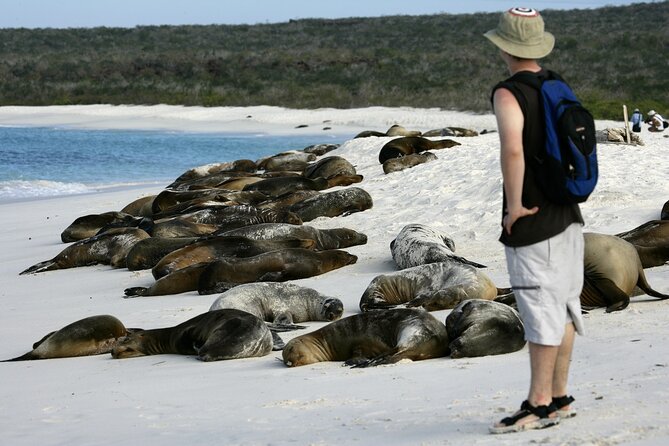 Galapagos Intensive 5 Days, Land Base (3islands) Excludes Galapagos Flight - Physical Requirements