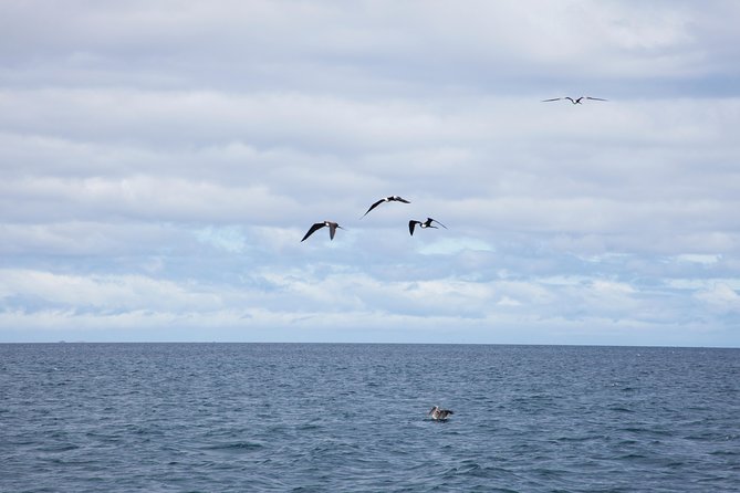 Galapagos Islands Airport Arrival Transfer - Key Considerations
