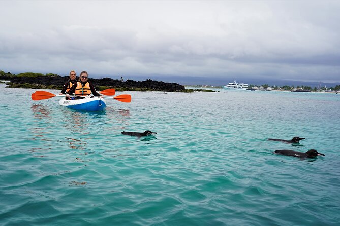 Galapagos Multisport Expedition 8 Days - Key Points