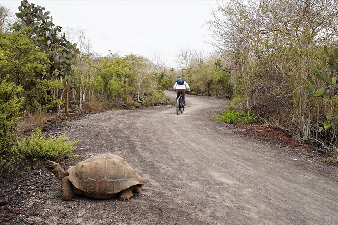 Galapagos Multisport Expedition 8 Days - Gear and Equipment