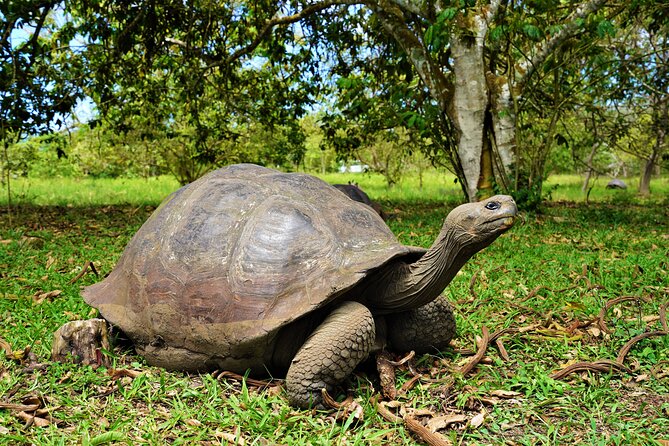 Galapagos Multisport Expedition 8 Days - Guide and Support