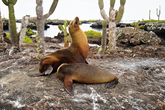 Galapagos Multisport Expedition 8 Days - Booking and Reviews