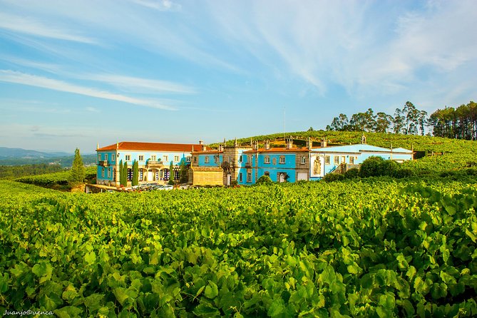 Galicia 4-day Food & Wine Private Tour - Exploring Galicias Food