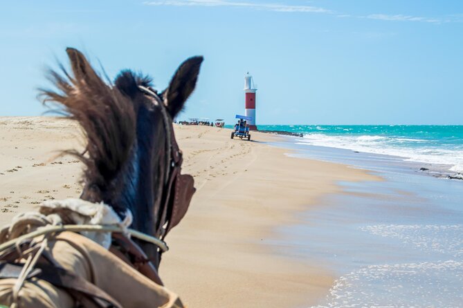 Galinhos Day Trip From Natal - Tour Reviews