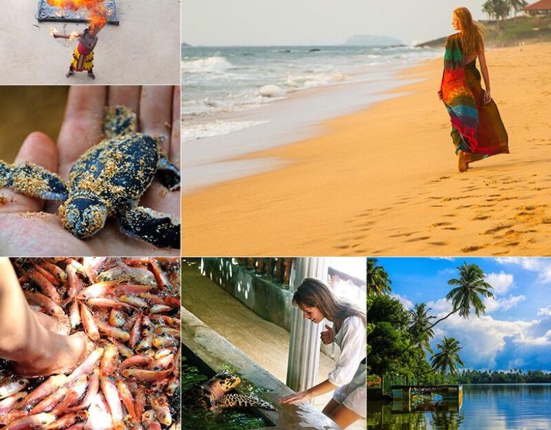Galle and Bentota Day-Tour From Colombo - Itinerary Highlights