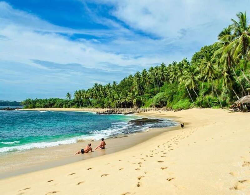 Galle and Bentota Day-Tour From Colombo - Madu River Boat Safari
