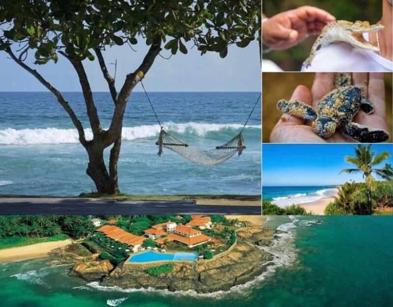 Galle and Bentota Day-Tour From Colombo - Galle Fort