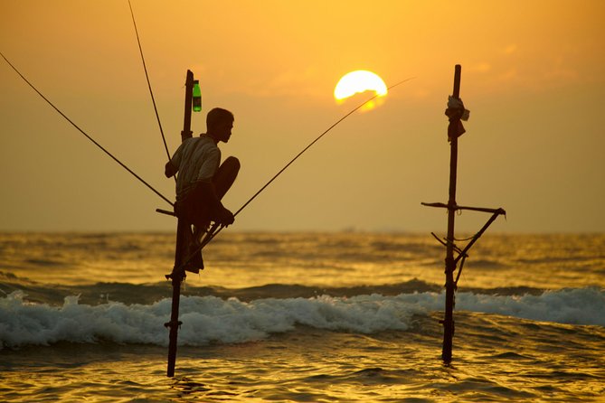 Galle and Colombo Shore Excursion - Key Points