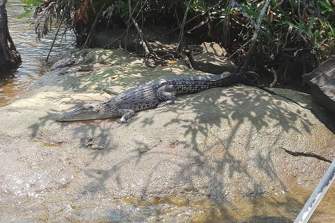 Galle & Bentota River Safari Private Tour From Beruwala Hotels - Confirmation and Accessibility
