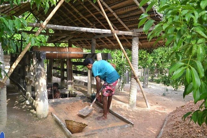 Galle Day Private Tour Beruwala/Bentota/Kosgoda/Ahungalla - Language Options