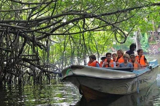 Galle Day Private Tour Beruwala/Bentota/Kosgoda/Ahungalla - Spices, Wildlife, and Moonstone Mining