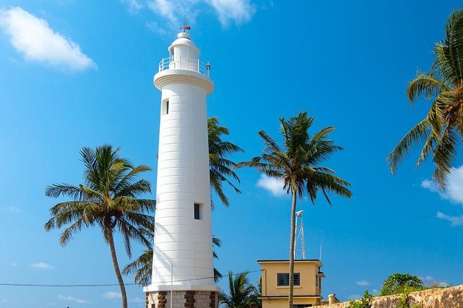 Galle Day Tour - Snorkeling With Whales and Turtles