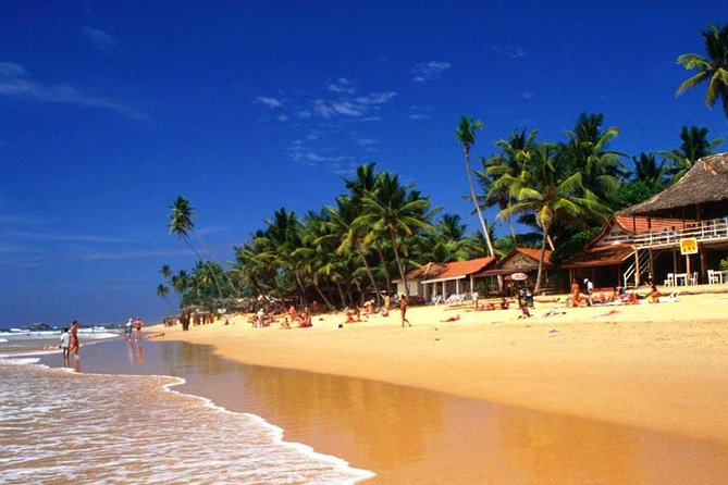 Galle Day Tour From Colombo or Negombo by Private Car , Van With Driver - Reviews and Feedback