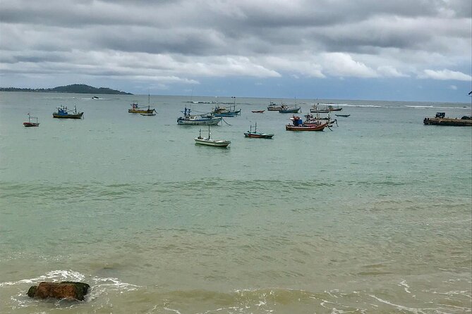Galle Day Tour via Hikkaduwa Beach - Visiting the Turtle Hatchery
