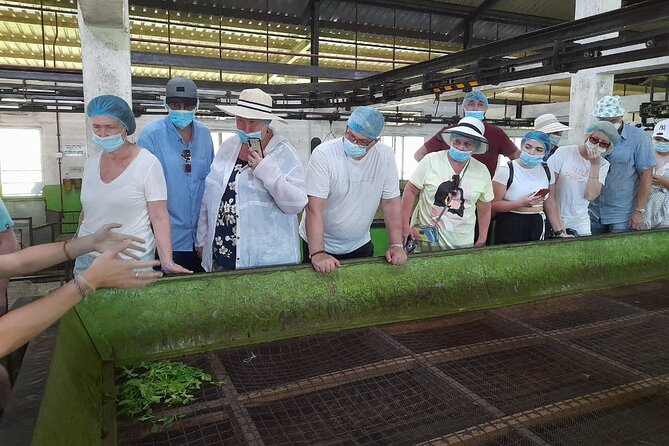 Galle Day Tour With River Safari, Tea Plantation & Sea Turtle - Kosgoda Sea Turtle Conservation Project