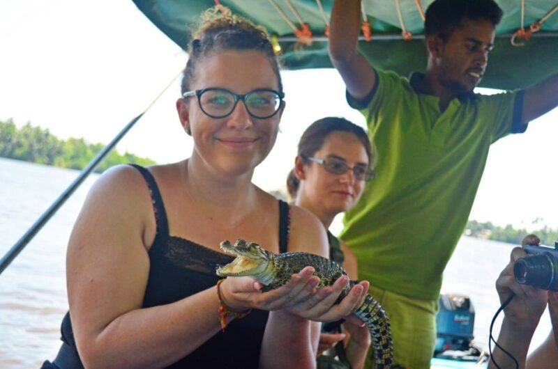 Galle Day Tour With River Safari,Sea Turtle & Tea Plantation - Itinerary Highlights