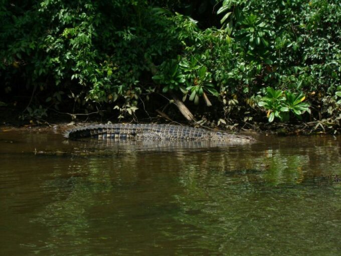 Galle Day Tour With River Safari,Sea Turtle & Tea Plantation - Pickup Locations