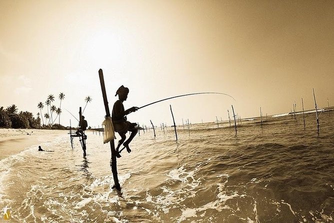Galle Day Trip With Stilt Fishing Experience From Colombo - Booking and Reservation