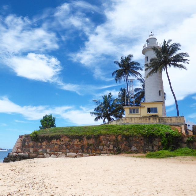 Galle Fort and Fish Massage From Negombo - Fish Massage Experience