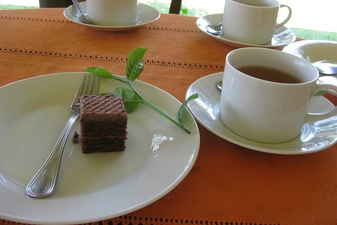 Galle Fort And Tea Factory Visit - Inclusive Package Details and Inclusions